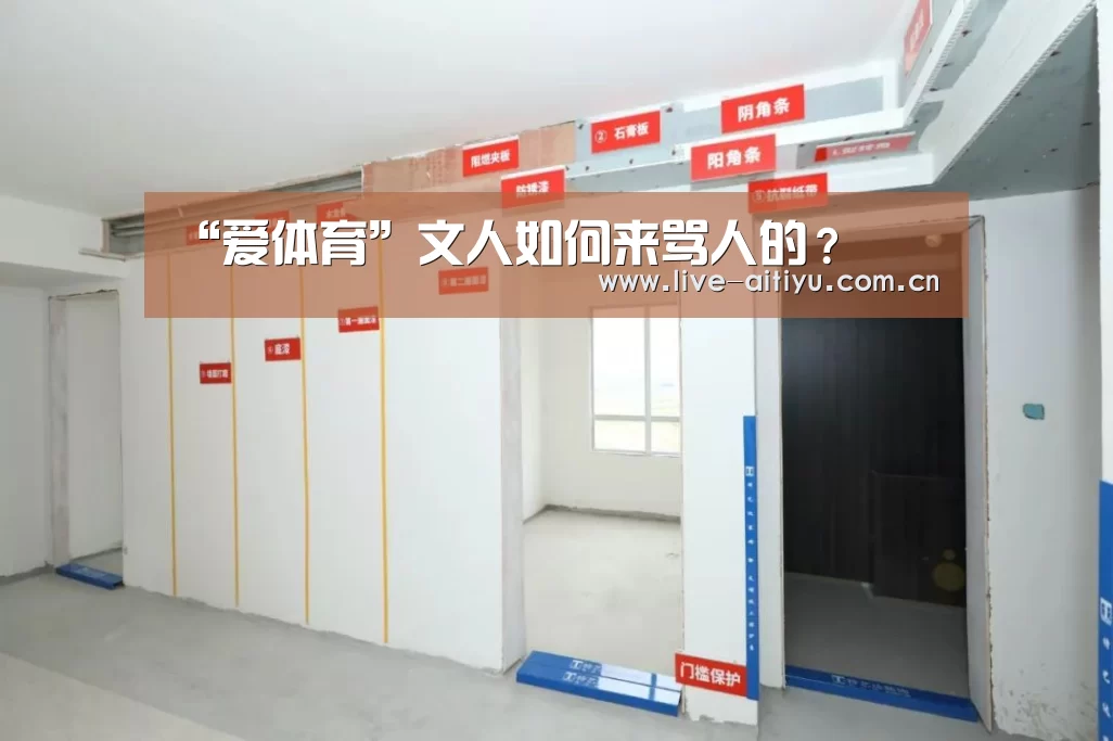 爱体育